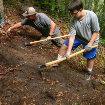 Digging and Sawing on the LGT