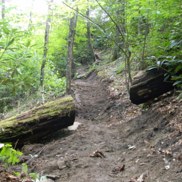 Trailwork on the LGT